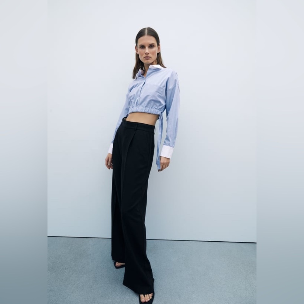 Zara pants